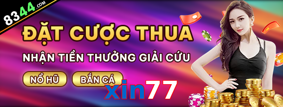 xin77
