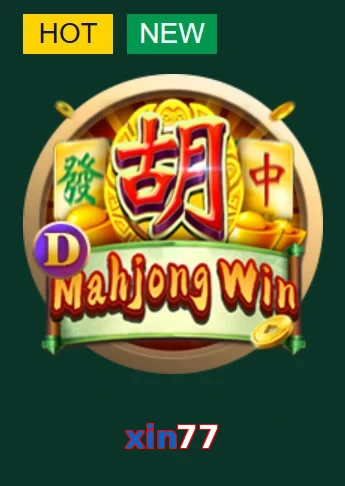 xin77