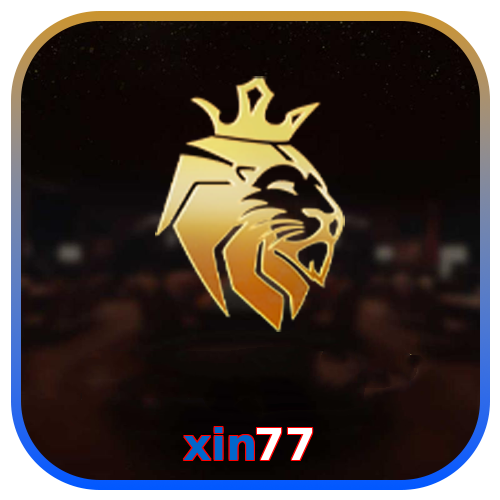 xin77